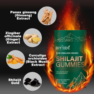 shilajit gummies benefits
