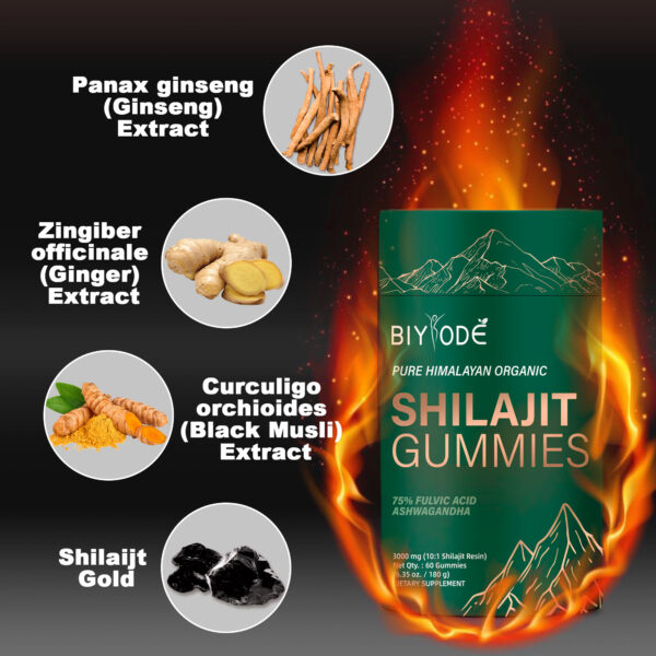 shilajit gummies benefits